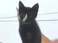 -------
