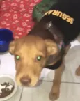 Carmelo