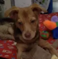 Carmelo