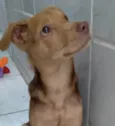 Carmelo