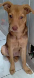 Carmelo