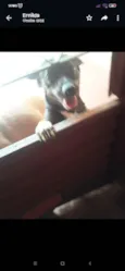 Huck