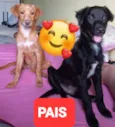 Sem nome 2