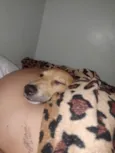 Mel 