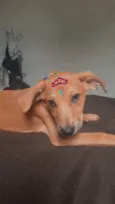Mel 