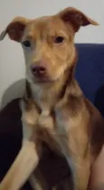 Carmelo