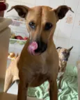 (Luna) provisório 