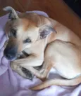 (Luna) provisório 