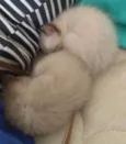 Flecha, Luna