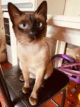 João