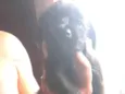 Não tem