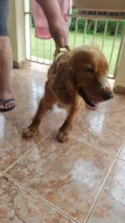 Bad
