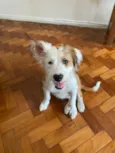 Maya