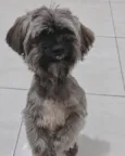 Bolinha
