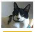 FILÓ