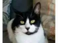 FILÓ