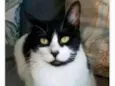 FILÓ