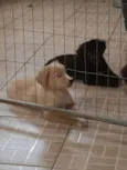 Bebe 2 *ADOTADA*