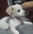 Spike 