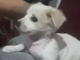 Spike 