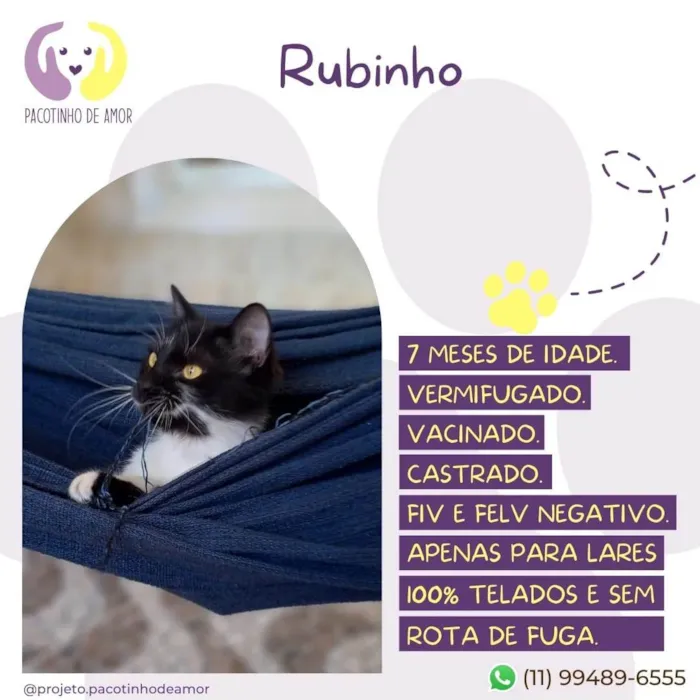 Rubinho