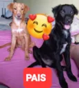 Sem nome 1