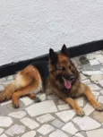 Vicky