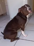 Klaus