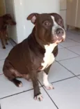 Klaus