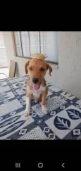 SIMBA