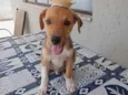SIMBA