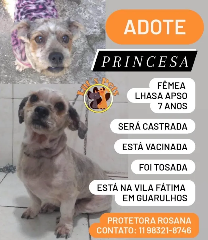 Cachorro ra a Lhasa Apso idade 6 ou mais anos nome Princesa