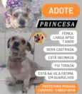 Princesa