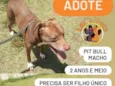 Sansão e Charlotte