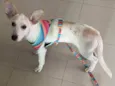PRINCESA