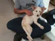 PRINCESA