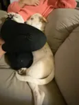 PRINCESA