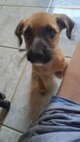 Kiara