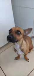 LUNA