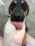 Hope