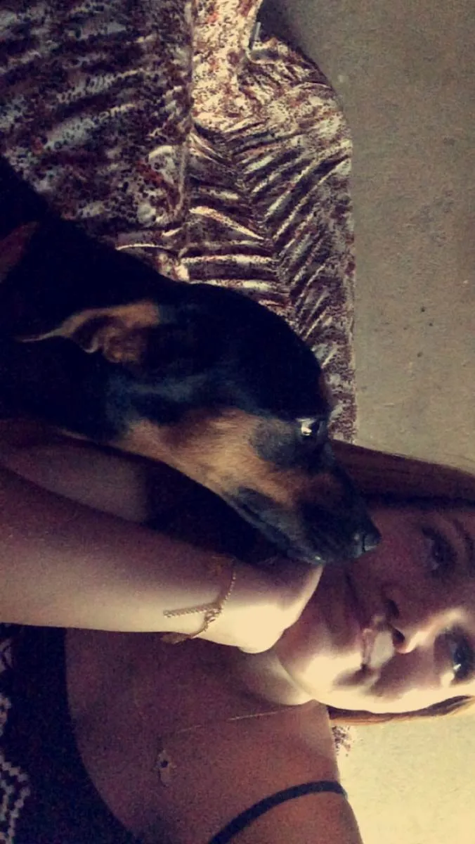 Cachorro raça Vira lata  idade 4 anos nome Hope