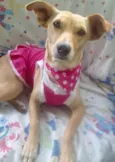 Cecília