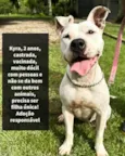 Kira