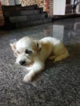 Branquinha