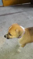 Princesa 
