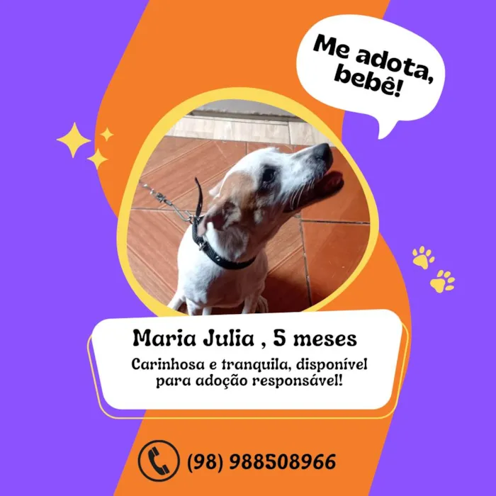 Cachorro raça Rottweiler idade 2 a 6 meses nome Maria julua