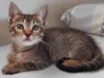Zoe