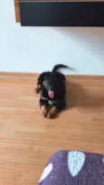 Kiara 