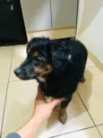 Kiara 