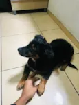 Kiara 